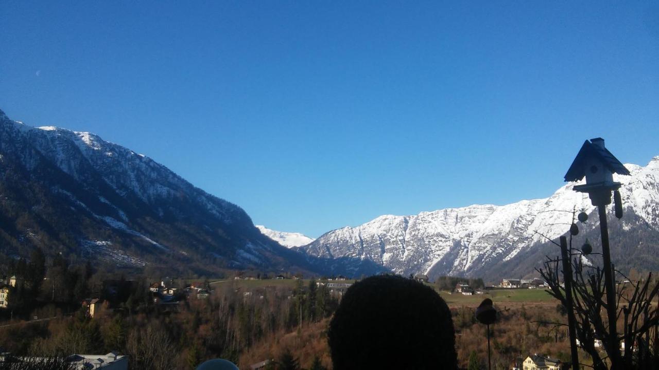 Ferienwohnung "Kaiserblick" Bad Aussee Dış mekan fotoğraf
