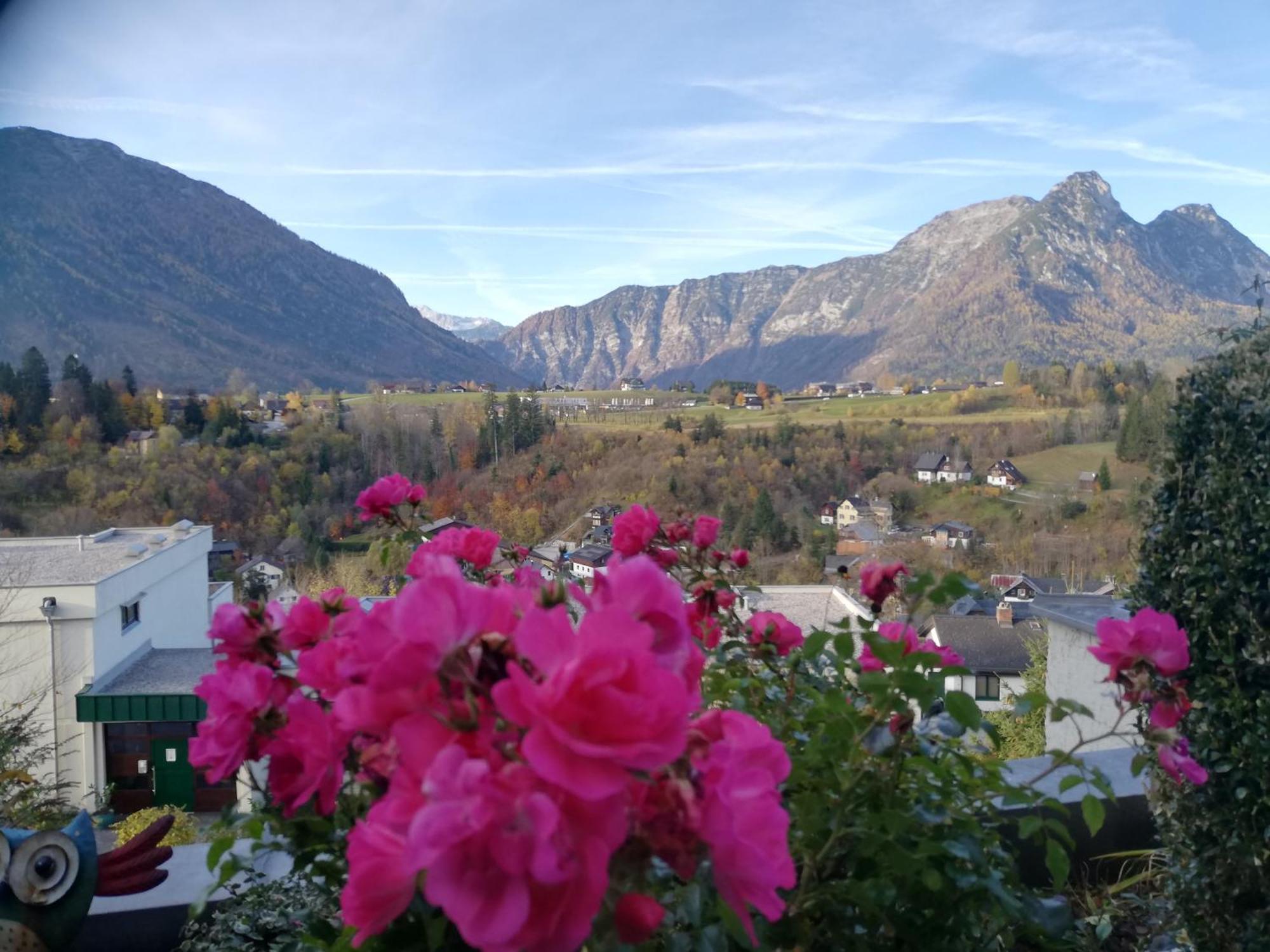 Ferienwohnung "Kaiserblick" Bad Aussee Dış mekan fotoğraf