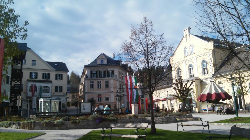 Ferienwohnung "Kaiserblick" Bad Aussee Dış mekan fotoğraf