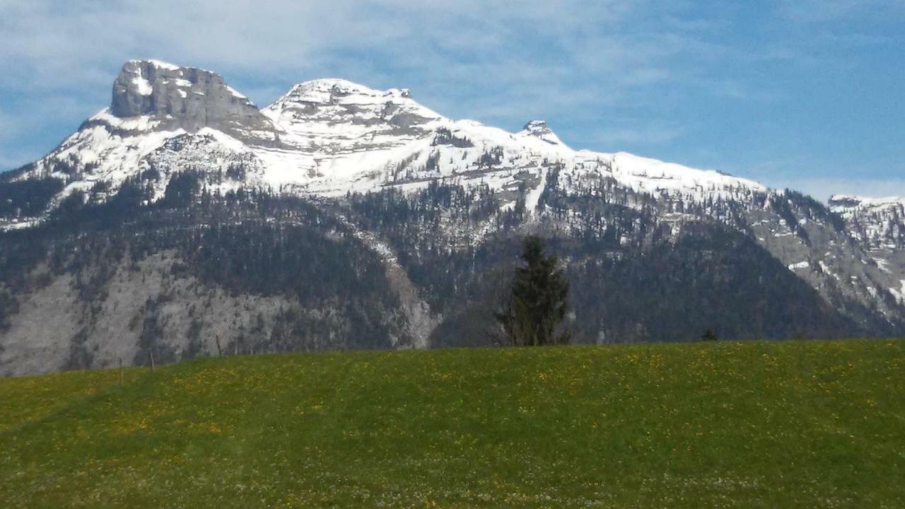 Ferienwohnung "Kaiserblick" Bad Aussee Dış mekan fotoğraf